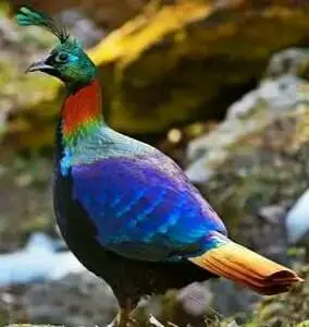 file - 2026-04-28T155204.418.webp